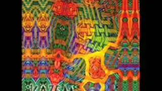 flooting grooves -_safari groove.