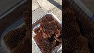 Solar Beeswax Melter DIY
