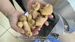 hx 21industrial machinery fruit vegetable cutting machine