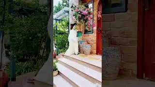 #homedecor #garden #healinggarden #flowers