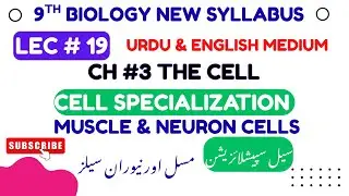 Lec 19: Cell Specialization | Muscle Cells & Neuron Cells || 9th Bio | New Syllabus|Urdu & English
