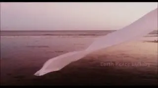 Oceanicavec 