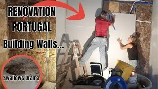 Drywall, Pipes & Patience &ndash; Renovating with Swallows | Portugal DIY