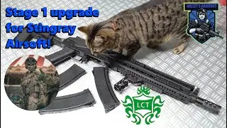 LCT AK AEG service and upgrade for Stingray Airsoft