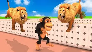 Giant Bull Vs Funny monkey Vs Giant Lion Escape From Pc Maze Game | Monkey Collecting Watermelons