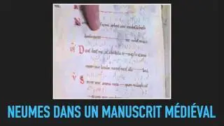 neumes