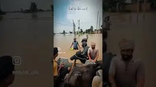 Pray for Punjab ❤️🙏🏻#flod #punjab #viral #puadh #punjabi