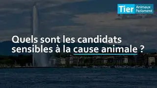 GEN&Egrave;VE / &Eacute;lections cantonales : choisissez des &eacute;lu(e)s sensibles &agrave; la cause animale !