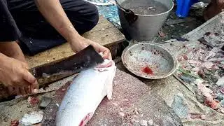 Barramundi Fish Cutting | Asian Street Fish Market | Fish Cutting Skill [2021]