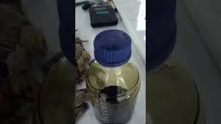 Natural Pure Oud Oil Destinations Factory Agarwood Oil Indonesia 👉 WA +6287758016000