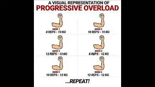 The theory of progressive overload