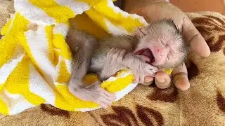 Sweeet Newb0rn Babii Bubu Feeel Shiverinq Cool After Routine With Biq Yawning