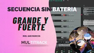 GRANDE Y FUERTE  MIEL SAN MARCOS  SEC SIN BATERIA