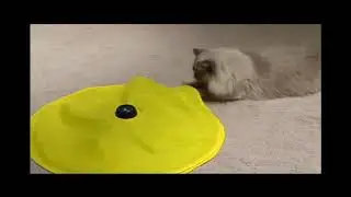 Cat's Meow- Motorized Wand Cat Toy