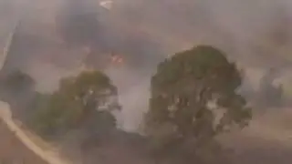 Deadly Bushfires Sweep Southern Australia
