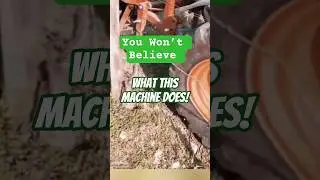 Vineyard Uprooting Tool You Never Knew Existed! 🌱