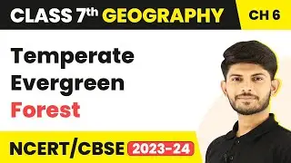 Temperate Evergreen Forest - Natural Vegetation and Wildlife | Class 7 Geography