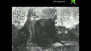 MAYAN WARFARE COMMUNITY - RADIO TIKAL