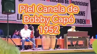 🎶 
