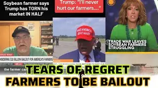 Фермеры MAGA взывают: Трамп разоблачён по поводу сделки по спасению соевых бобов