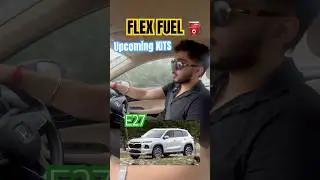 E20 & E27 Petrol = Engine Damage? Flex Fuel Kit vs Additives #e20