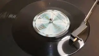 Stevie Wonder - I Just Called To Say I Love You (1984 7