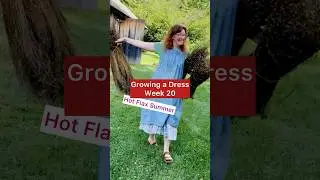 Growing a Dress Week 20