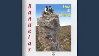 Animas torran