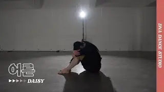 Sondia - 어른 | DAISY Choreography | DNA Dance Studio