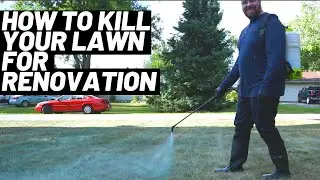 How I Kill Grass and Weeds to Start Over: Renovation