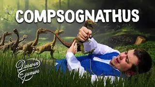 DINOPEDIA S2 #4 - Compsognathus