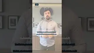 A SBN tem a satisfa&ccedil;&atilde;o de apresentar dois selos exclusivos para seus membros!