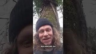 What is Balance? #heavymetal #motivation #goth