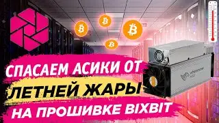📌 Saving ASICs from the summer heat with BixBit firmware. Configuring the Whatsminer ASIC