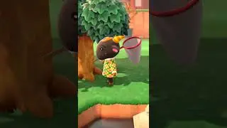 BEST. VILLAGER. TRICK in ACNH #shorts