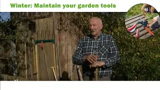 The Importance of Cleaning Garden Tools Before Winter