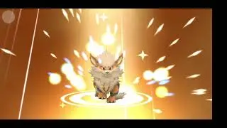 pocketown mega my arcanine