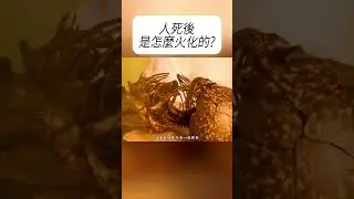 人死後是怎麼火化的? #漲知識#知識