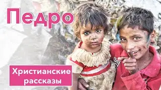 🔴 Педро - ИНТЕРЕСНЫЙ ХРИСТИАНСКИЙ РАССКАЗ | Христианские рассказы