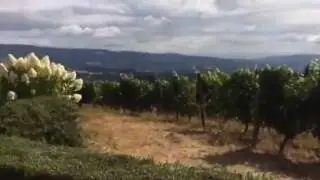 Lange winery