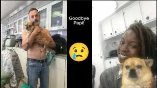 Danai & Andy pay Tribute to Papi!