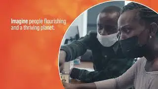 Financing Africa's development with domestic resources