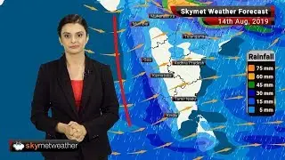 Weather Forecast Aug 14: Heavy rains in Bhopal, Ujjain, Kota, Mangaluru, and parts of Kerala