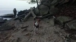 NoimaD at Santee State park.