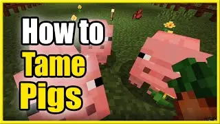 Как приручить свинью в Minecraft и кататься на ней! (Быстрый способ!)