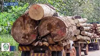 Key Players Highlight Risks Associated Wit Industrial Animal Farming In Nigeria