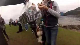 2nd Annifursary