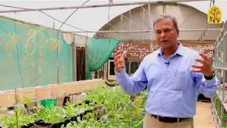 eFSI: k-Yantra Greenhouse Lab, Department of CSE , IIT  Bombay