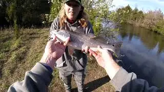 A Day of Reds and Stripes! (Perch, Redfish and Striper!)