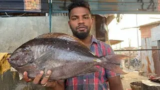KOLI FISH 🤩 CUTTING BY KASIMEDU YOUNG CUTTER YUVARAJ ⚔️🔥